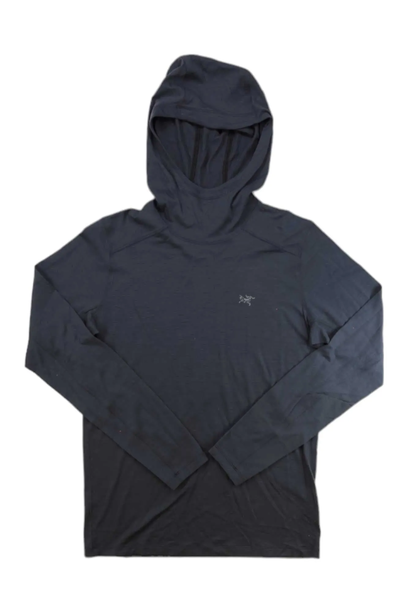 Arcteryx Mens Ionia Hoody