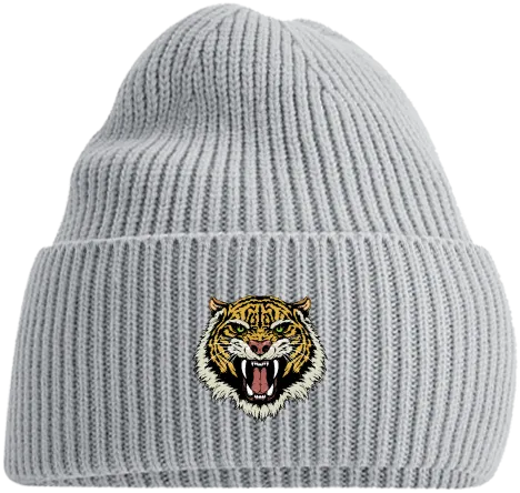 TEKKEN - 'Mishima Tiger' Embroidered Beanie - Gray